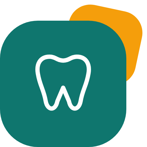 Tampa Bay Cosmetic Dental Guide